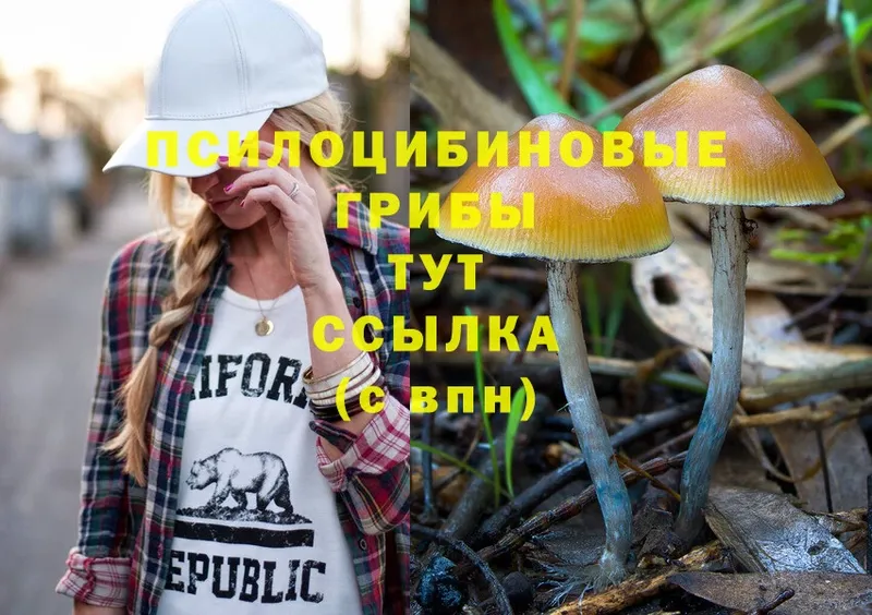 MEGA ССЫЛКА  Ленинск  Галлюциногенные грибы Magic Shrooms  купить закладку 